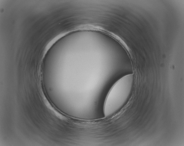 X0000085241387200703090911