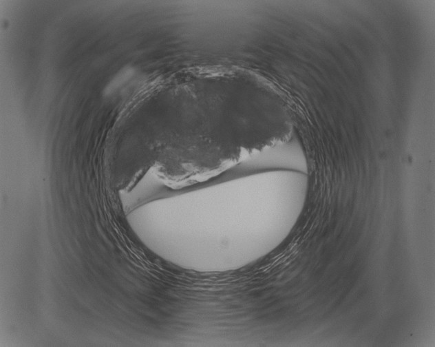 X0000085241393200703090910