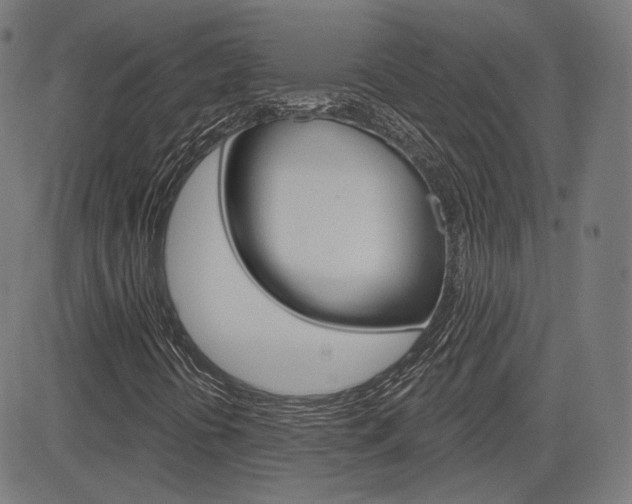 X0000085241394200703090910