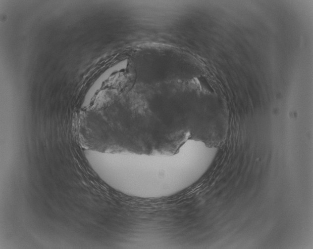 X0000085241397200703090910