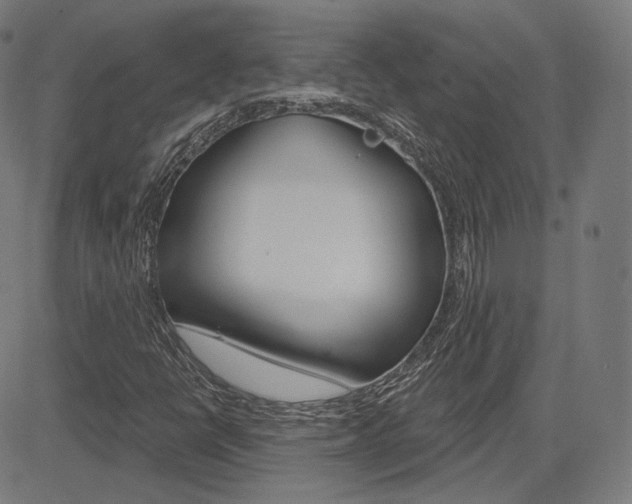 X0000085241398200703090910