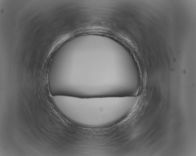 X0000085241405200703090910