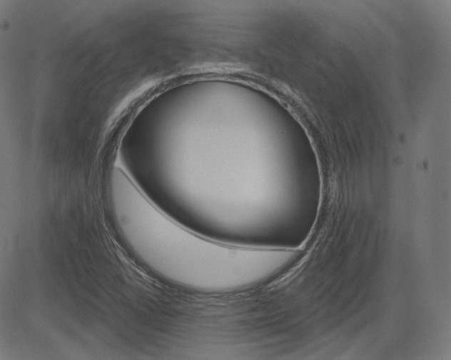 X0000085241406200703090910