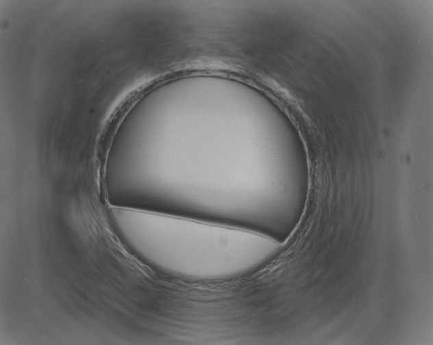 X0000085241408200703090910