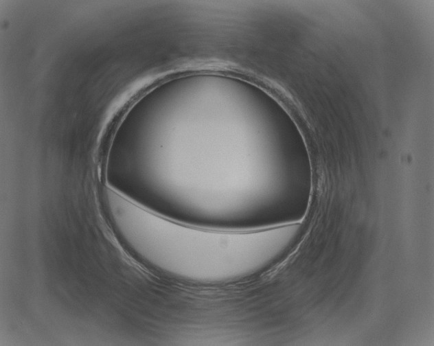 X0000085241414200703090910