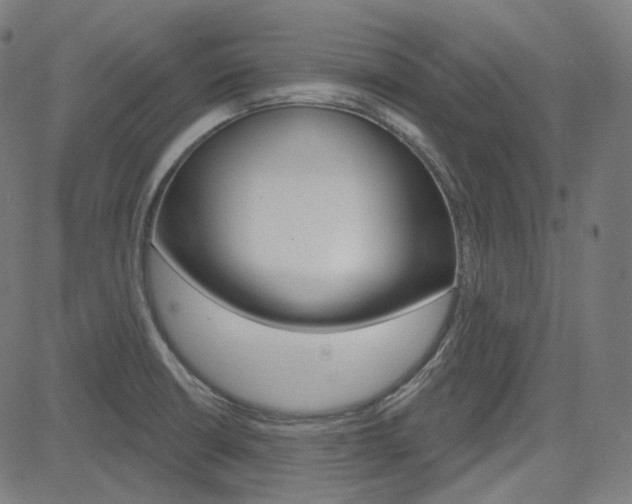 X0000085241426200703090911