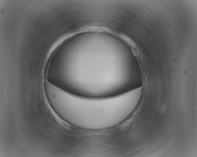 X0000085241430200703090911
