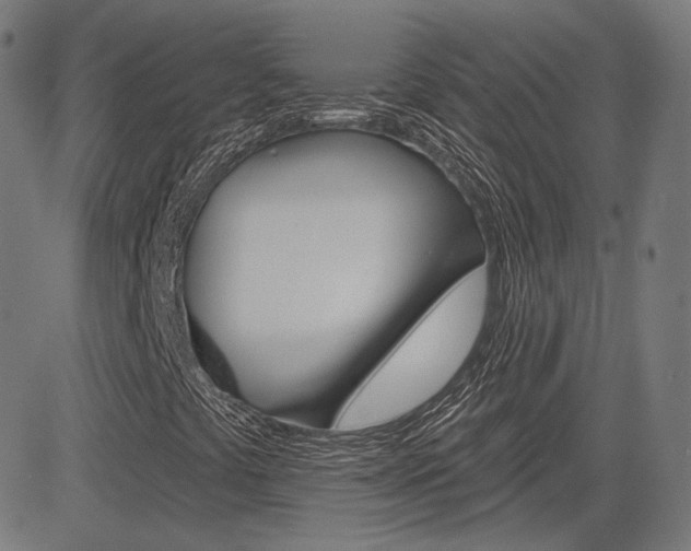 X0000085241441200703090910