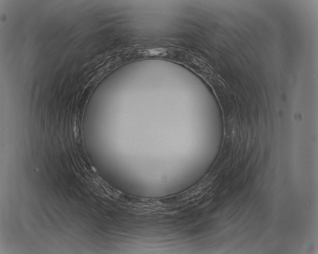 X0000085241442200703090910