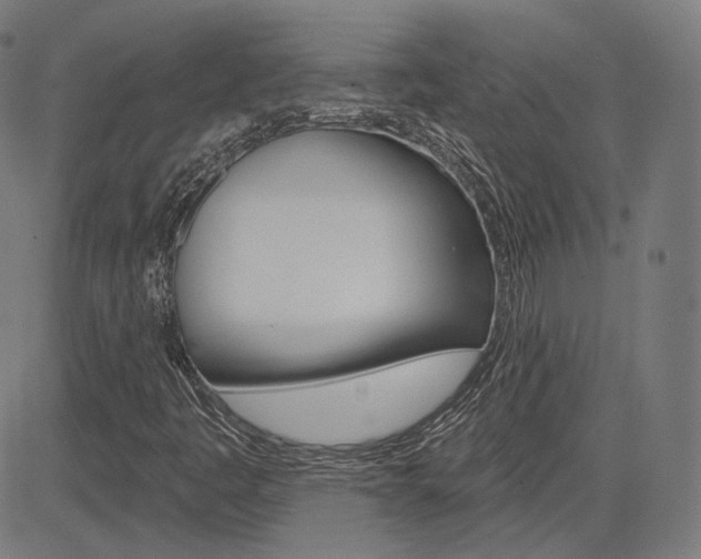 X0000085241445200703090910
