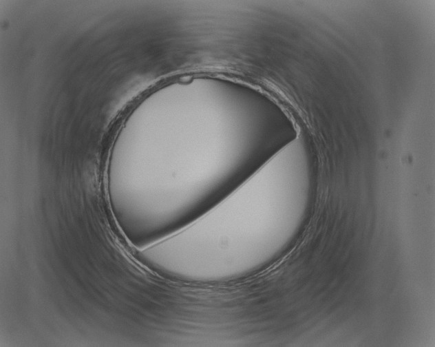 X0000085241452200703090910