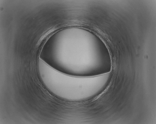X0000085241453200703090910