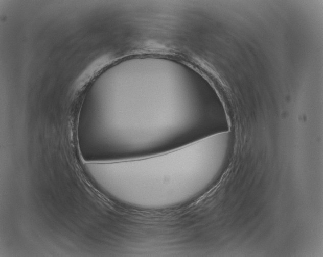 X0000085241455200703090910