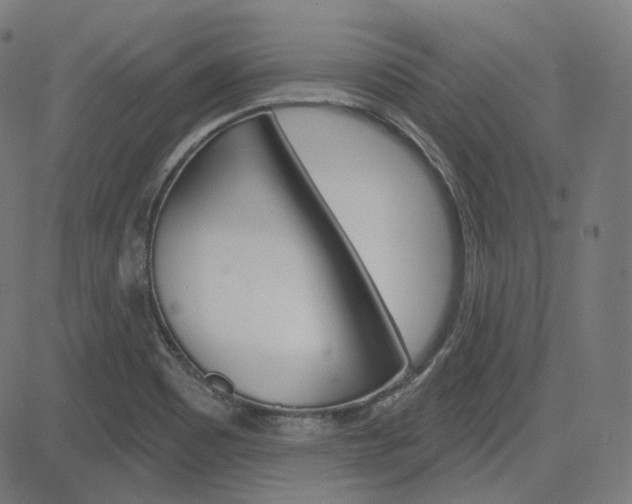 X0000085241465200703090910