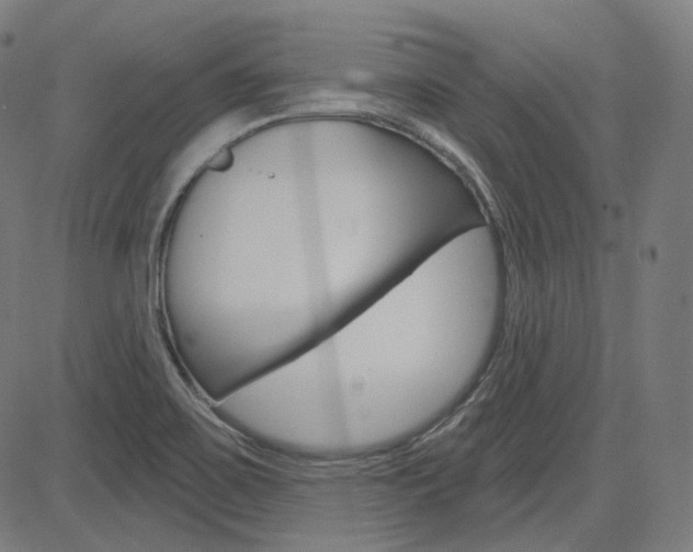 X0000085241467200703090910