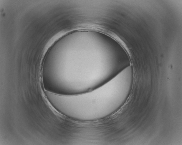 X0000085241485200703090909