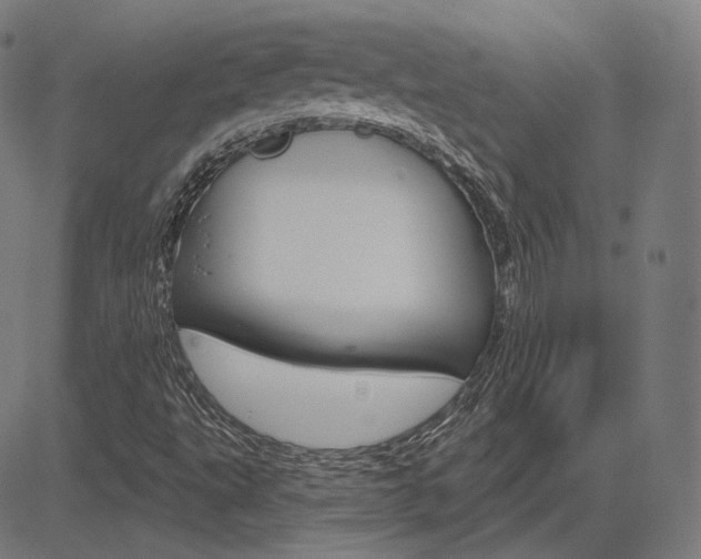 X0000085241495200703090909
