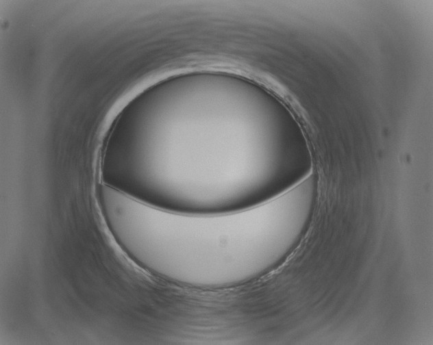 X0000085241520200703090909