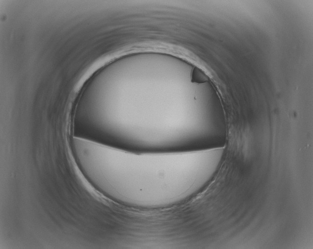 X0000085241523200703090909