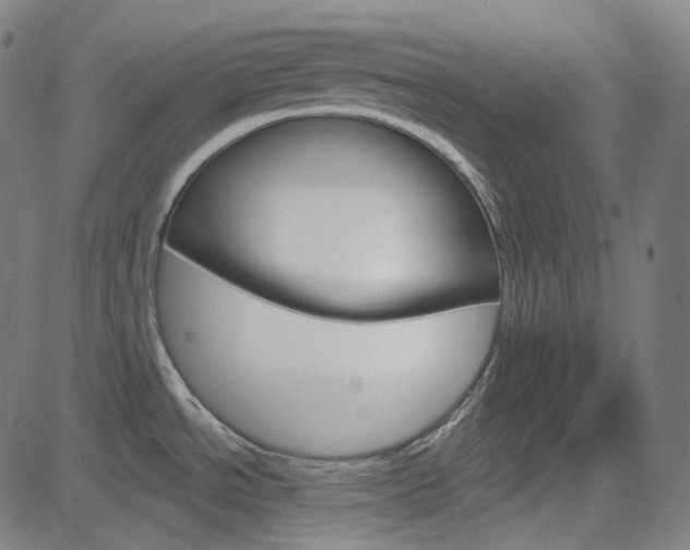X0000085241534200703090909