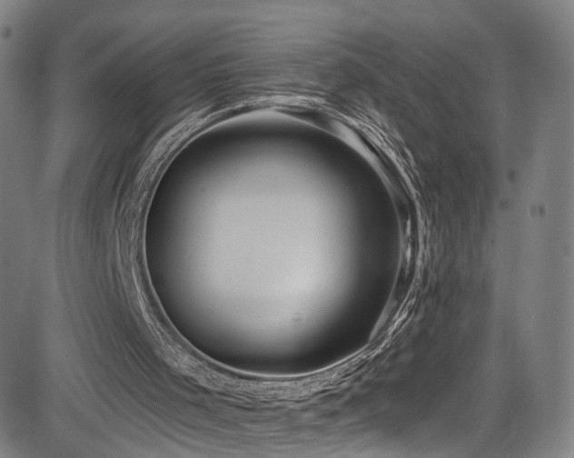 X0000085240001200703091229