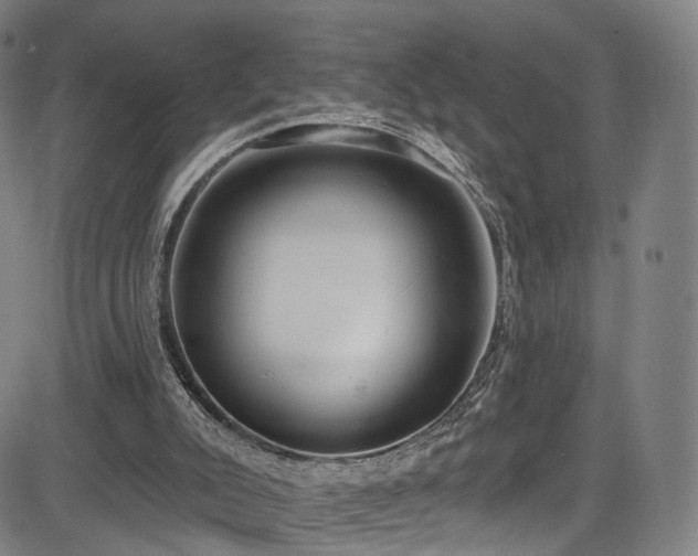 X0000085240007200703091229