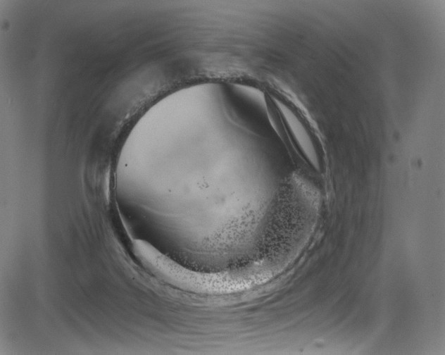X0000085240019200703091228