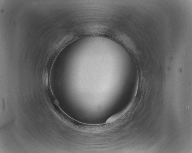 X0000085240021200703091228