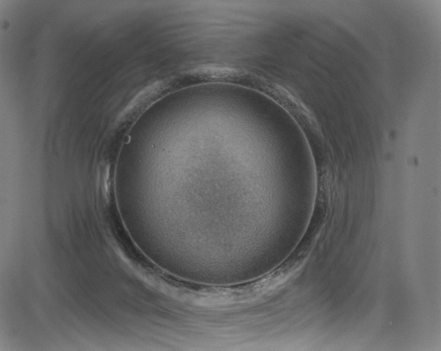 X0000085240024200703091228