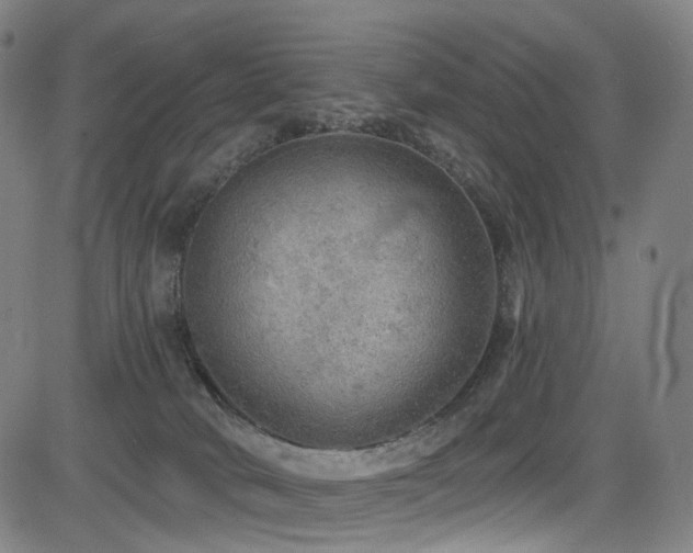 X0000085240034200703091228