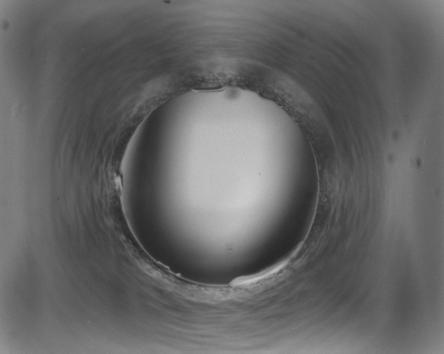 X0000085240037200703091228