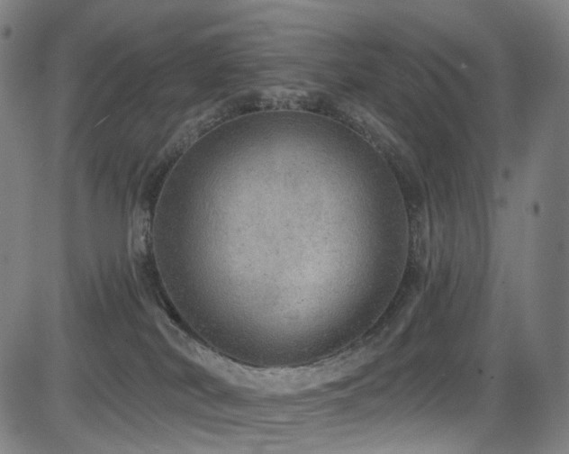 X0000085240038200703091228
