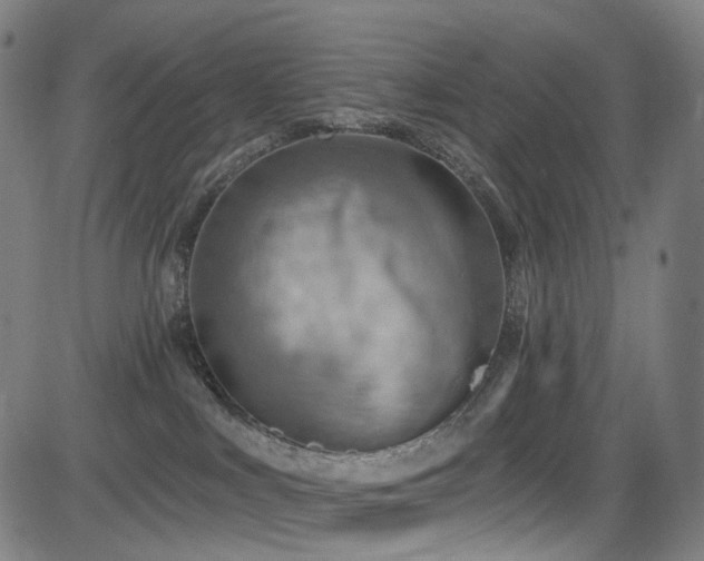 X0000085240043200703091228