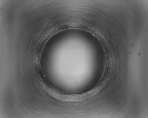 X0000085240044200703091228