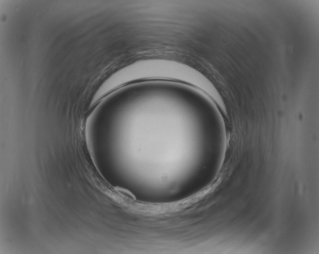 X0000085240045200703091228