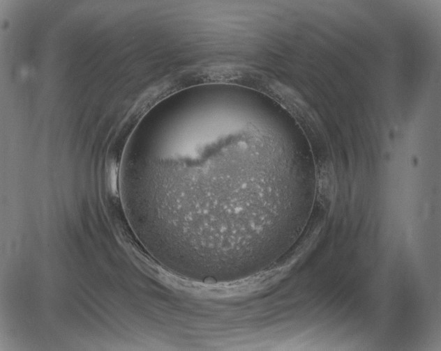 X0000085240046200703091228