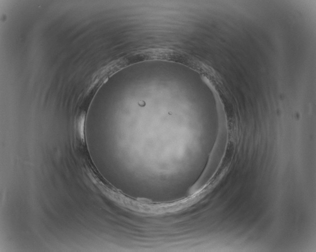 X0000085240047200703091228