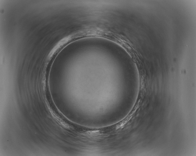 X0000085240054200703091227