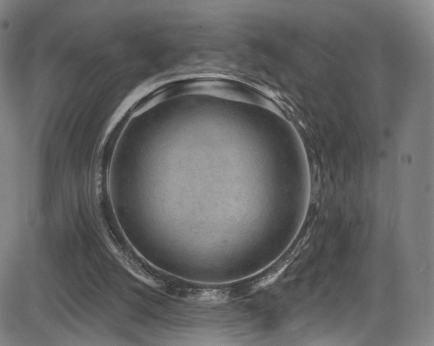 X0000085240056200703091227
