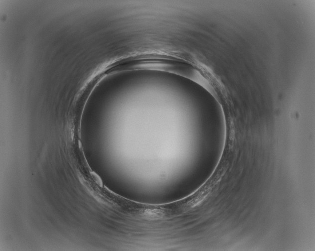X0000085240060200703091227