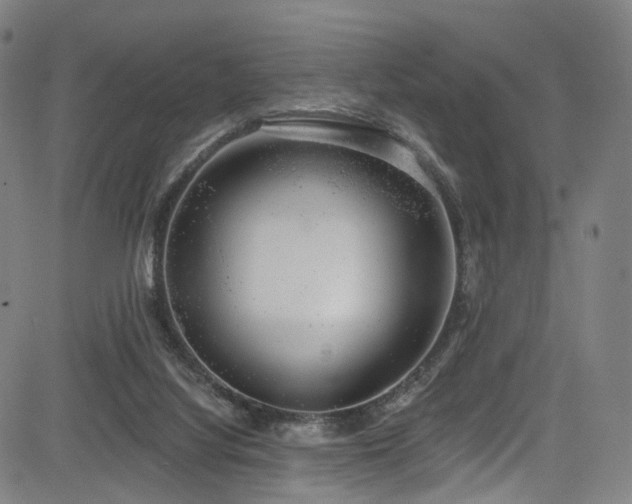 X0000085240068200703091227
