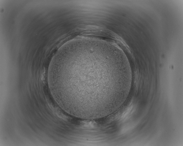 X0000085240073200703091227