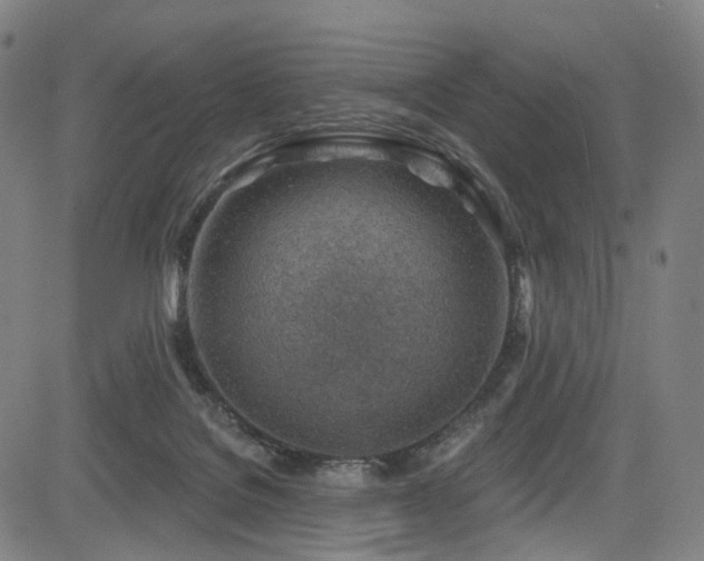X0000085240076200703091228