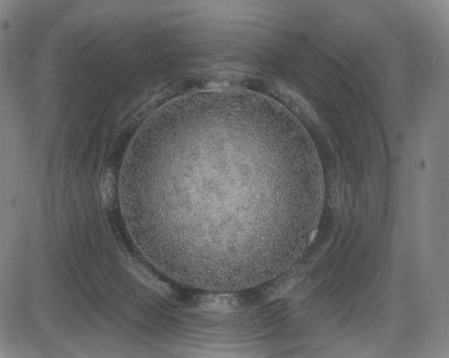 X0000085240077200703091228