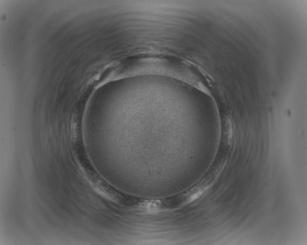 X0000085240080200703091228