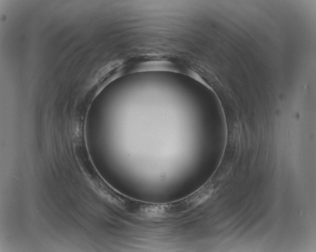 X0000085240084200703091228