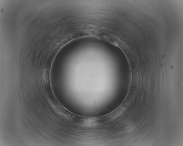 X0000085240088200703091228