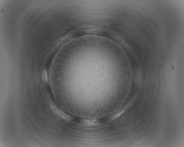 X0000085240089200703091228