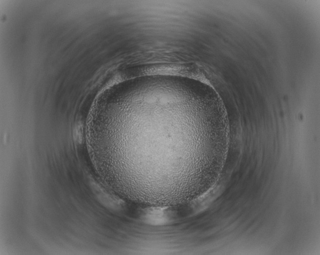 X0000085240090200703091228