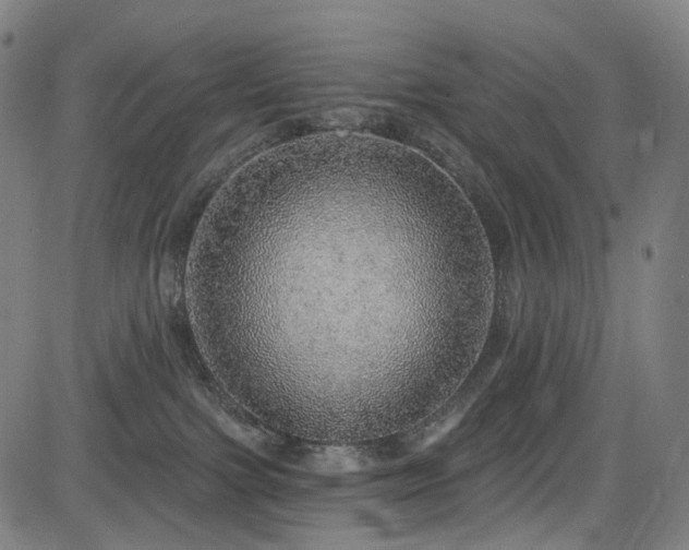 X0000085240091200703091228